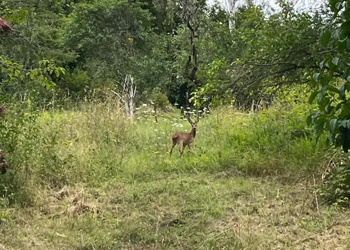Sonnenberg Semesterbostad Thale